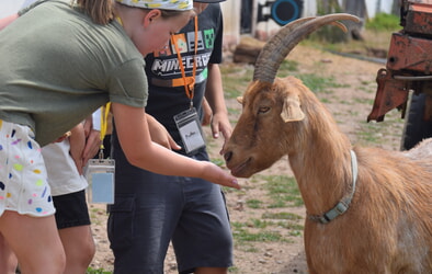 Termin&auml;nderung f&uuml;r die Tierversorgung